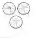 Fig. 33 - Barometer clock