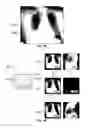 Fig. 20 - Database systems and interactive user interfaces for dynamic interaction with, and review of, digital medical image data