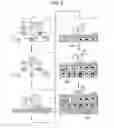 Fig. 07 - COMPUTER-READABLE RECORDING MEDIUMS, AND INFORMATION PROCESSING APPARATUS