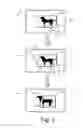 Fig. 08 - Link Gestures
