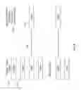 Fig. 09 - Interactively presenting a visible portion of a rendering surface on a user device