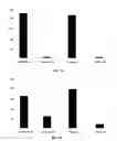Fig. 07 - Query suggestion templates