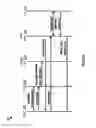 Fig. 05 - User-specific application activation for remote sessions
