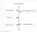 Fig. 01 - Electronic device and password entering method