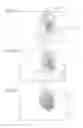 Fig. 06 - IMAGE PROCESSING APPARATUS, IMAGE PROCESSING METHOD, IMAGE PROCESSING SYSTEM, AND NON-TRANSITORY COMPUTER READABLE MEDIUM
