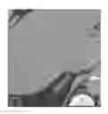 Fig. 01 - Restoration of low contrast structure in de-noise image data