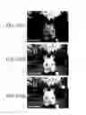 Fig. 26 - Image processing device having depth map generating unit, image processing method and non-transitory computer readable recording medium