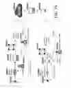 Fig. 45 - SYSTEMS AND METHODS FOR ENHANCEMENT OF RETINAL IMAGES