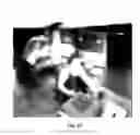 Fig. 08 - Method and system for analog/digital image simplification and stylization