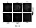 Fig. 40 - Regularization of images