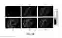 Fig. 43 - Regularization of images