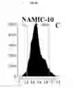 Fig. 10 - Quantitating disease progression from the MRI images of multiple sclerosis patients