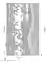 Fig. 04 - Thermocline display