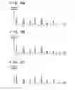 Fig. 08 - Image processing apparatus, image processing method, and storage medium storing a program that select images based on evaluations and lay out a main image on a main slot and a sub image on a sub slot in a template