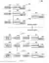 Fig. 03 - System And Method For Identifying And Exporting Cast Vote Record Data
