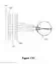 Fig. 31 - Tile array for near-ocular display