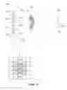 Fig. 11 - Display with a tunable mask for augmented reality