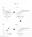 Fig. 06 - Organic light emitting display device for compensating degradation of a pixel and method of driving the same