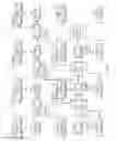 Fig. 16 - Devices and methods of adaptive dimming using local tone mapping