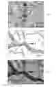 Fig. 01 - Facile and precise georeferencing and overlaying of map tiles
