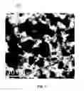Fig. 02 - Perforatable sheets of graphene-based material