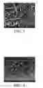 Fig. 03 - TRANSPARENT CONDUCTIVE FILM AND METHOD FOR MANUFACTURING THE SAME