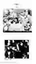 Fig. 08 - Metal magnetic material and electronic component