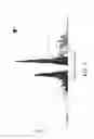 Fig. 03 - Range-based real-time scanning electron microscope non-visual binner