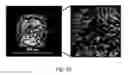 Fig. 12 - Laser assisted SiC growth on silicon