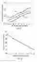 Fig. 18 - Laser assisted SiC growth on silicon