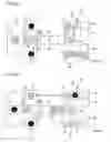 Fig. 16 - Ion implantation apparatus and method for processing plurality of wafers using the same