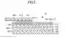 Fig. 04 - Display device and method of manufacturing the same