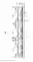 Fig. 06 - Organic light-emitting display apparatus and method of manufacturing the same