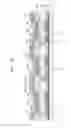 Fig. 11 - Organic light-emitting display apparatus and method of manufacturing the same