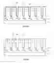 Fig. 05 - Semiconductor device and method of manufacturing semiconductor device