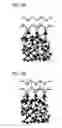 Fig. 06 - Semiconductor device