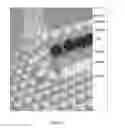 Fig. 02 - SPATIALLY-ANNEALED NANOPARTICLE FILMS AND METHODS OF MAKING AND USING SAME