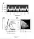 Fig. 06 - SPATIALLY-ANNEALED NANOPARTICLE FILMS AND METHODS OF MAKING AND USING SAME