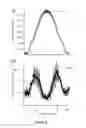 Fig. 07 - SPATIALLY-ANNEALED NANOPARTICLE FILMS AND METHODS OF MAKING AND USING SAME