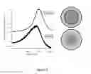 Fig. 10 - SPATIALLY-ANNEALED NANOPARTICLE FILMS AND METHODS OF MAKING AND USING SAME