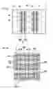 Fig. 07 - Method of manufacturing light emitting device