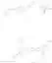 Fig. 52 - Electroactive materials