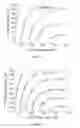 Fig. 19 - Inverted organic photosensitive devices