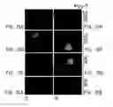 Fig. 16 - SURFACE MODIFICATION OF SILICON PARTICLES FOR ELECTROCHEMICAL STORAGE