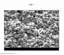 Fig. 06 - NEGATIVE ELECTRODE FOR SECONDARY BATTERY AND MANUFACTURING METHOD OF THE SAME