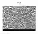 Fig. 09 - NEGATIVE ELECTRODE FOR SECONDARY BATTERY AND MANUFACTURING METHOD OF THE SAME