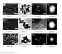 Fig. 05 - Method for making cathode active material of lithium ion battery