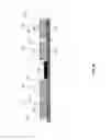 Fig. 16 - Single layer multi mode antenna for wireless power transmission using magnetic field coupling