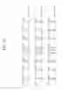 Fig. 13 - Method for transmitting a PPDU in a transmission bandwidth and device for same