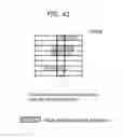 Fig. 53 - Information communication method